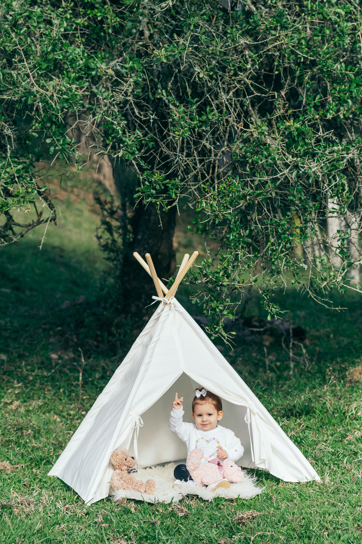 ensaio em família daniela radavelli fotografia Carlos Barbosa serra gaúcha ensaio com cavalo ensaio de bebê e família