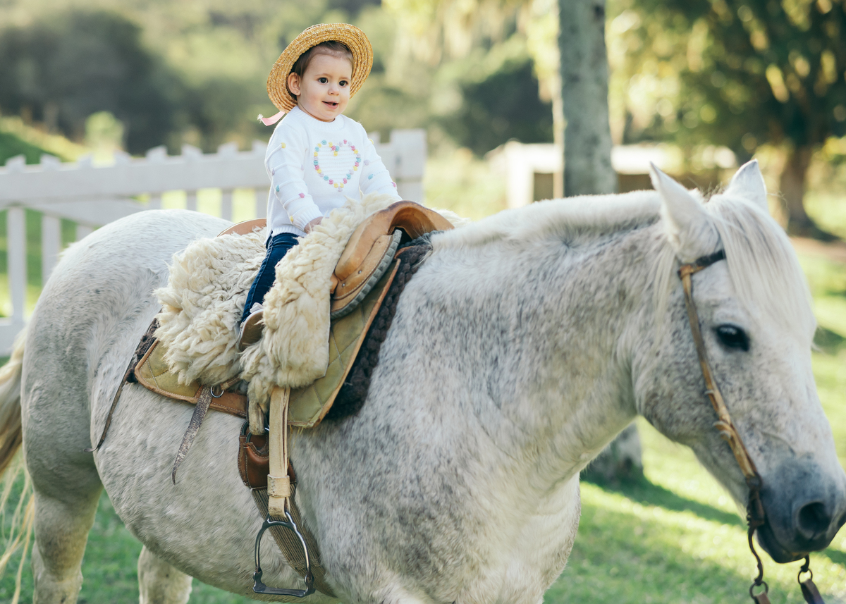 ensaio em família daniela radavelli fotografia Carlos Barbosa serra gaúcha ensaio com cavalo ensaio de bebê e família