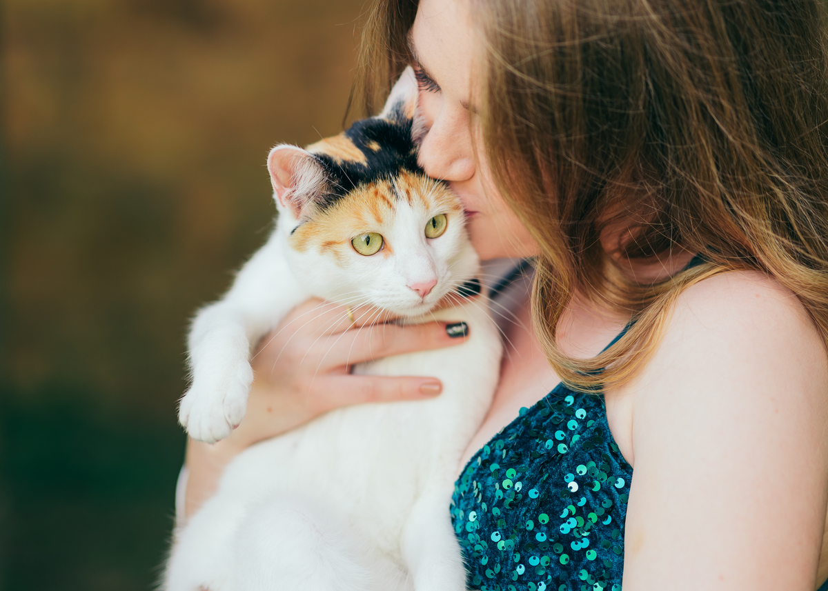 book dos 15 ensaio de quinze anos daniela radavelli fotografia Casa Cercatto Garibaldi ensaio de noite ensaio com gato ensaio em família 