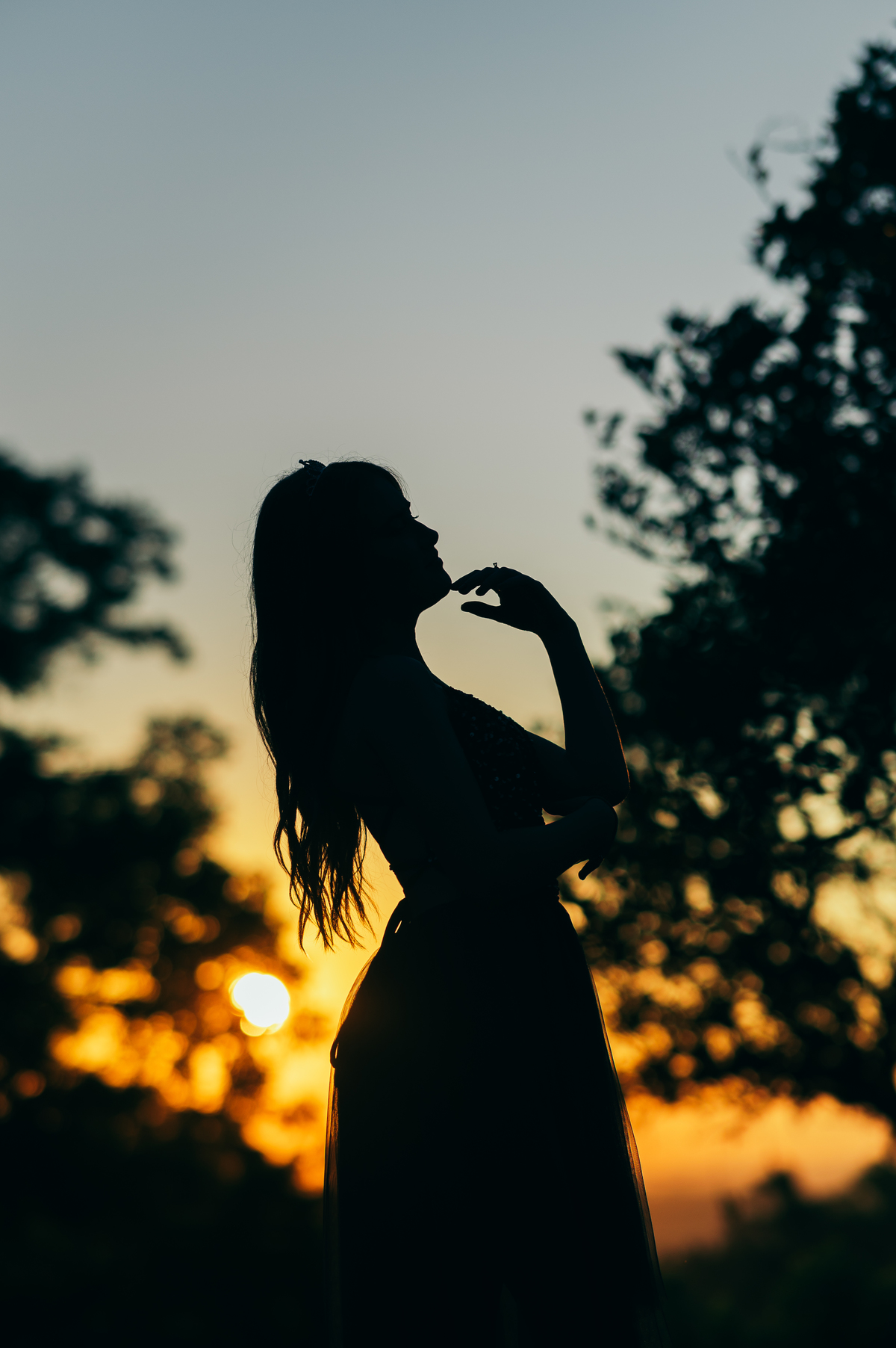 book dos 15 ensaio de quinze anos daniela radavelli fotografia Casa Cercatto Garibaldi ensaio de noite ensaio com gato ensaio em família 