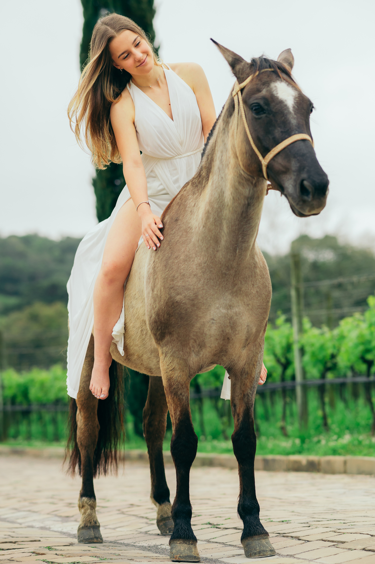 ensaio 15 anos daniela radavelli fotografia fotos de 15 anos fotografa de 15 anos debutante fotos de debutante Vinícola Alma Única Vale dos Vinhedos