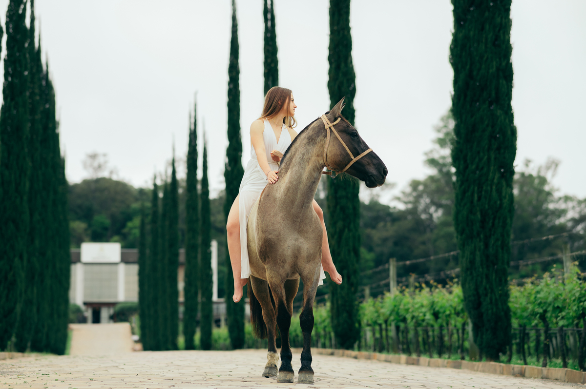 ensaio 15 anos daniela radavelli fotografia fotos de 15 anos fotografa de 15 anos debutante fotos de debutante Vinícola Alma Única Vale dos Vinhedos