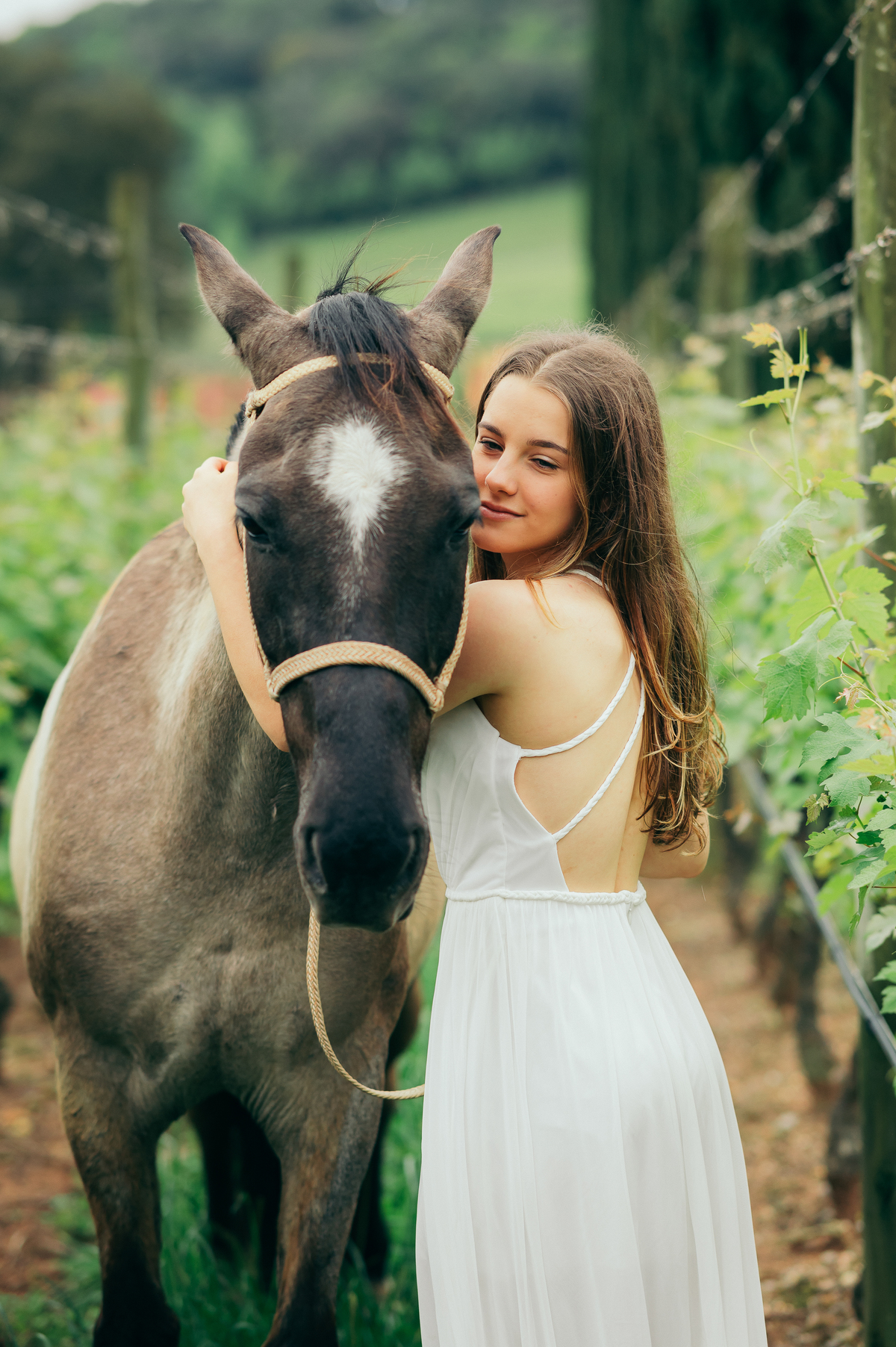 ensaio 15 anos daniela radavelli fotografia fotos de 15 anos fotografa de 15 anos debutante fotos de debutante Vinícola Alma Única Vale dos Vinhedos