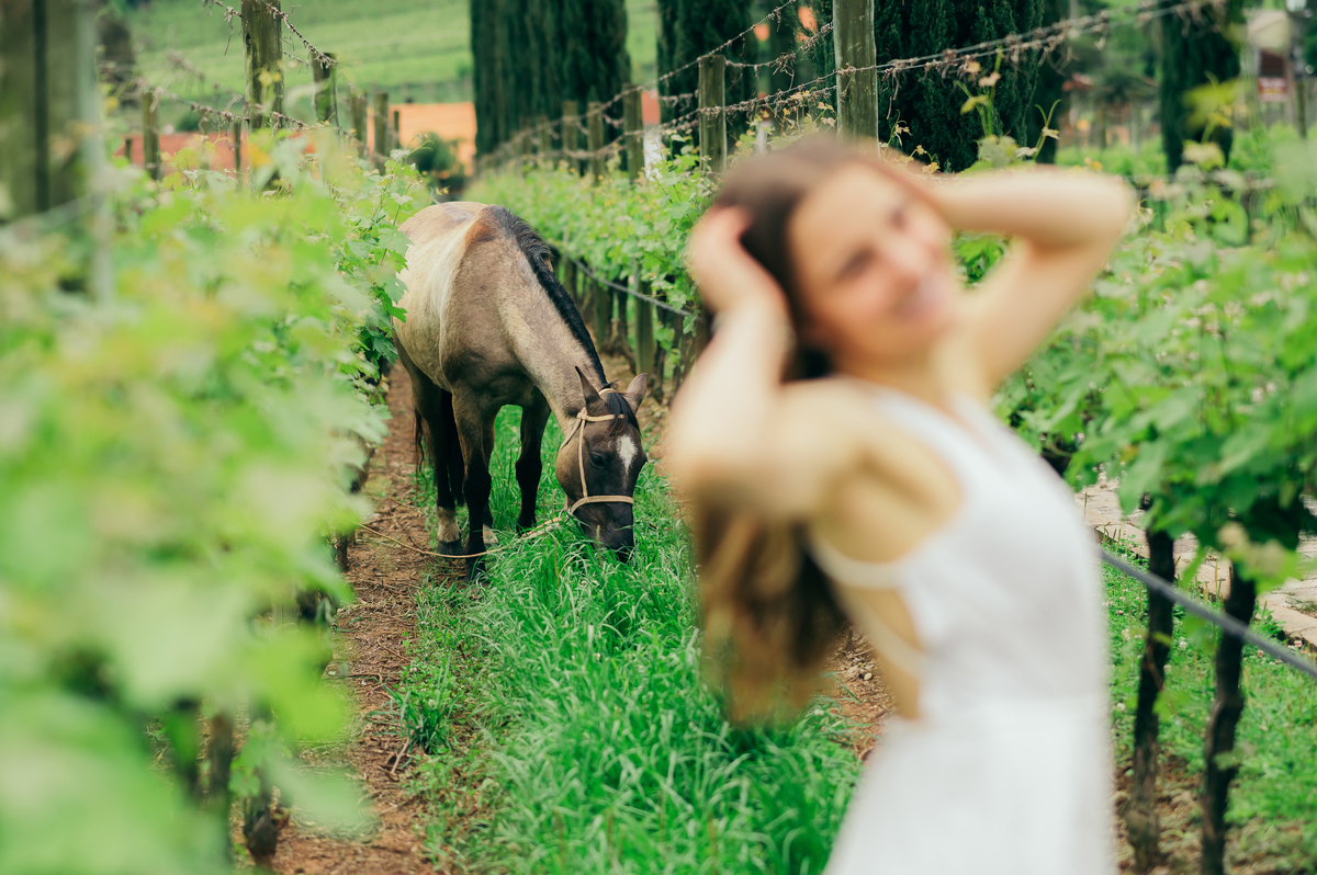 ensaio 15 anos daniela radavelli fotografia fotos de 15 anos fotografa de 15 anos debutante fotos de debutante Vinícola Alma Única Vale dos Vinhedos