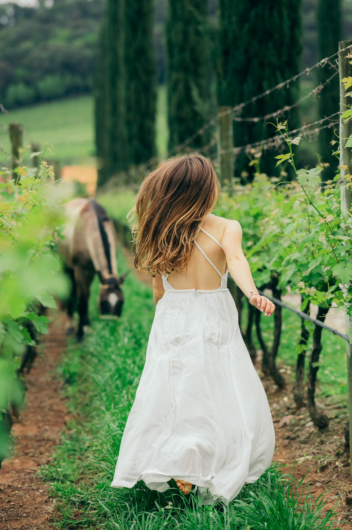 ensaio 15 anos daniela radavelli fotografia fotos de 15 anos fotografa de 15 anos debutante fotos de debutante Vinícola Alma Única Vale dos Vinhedos