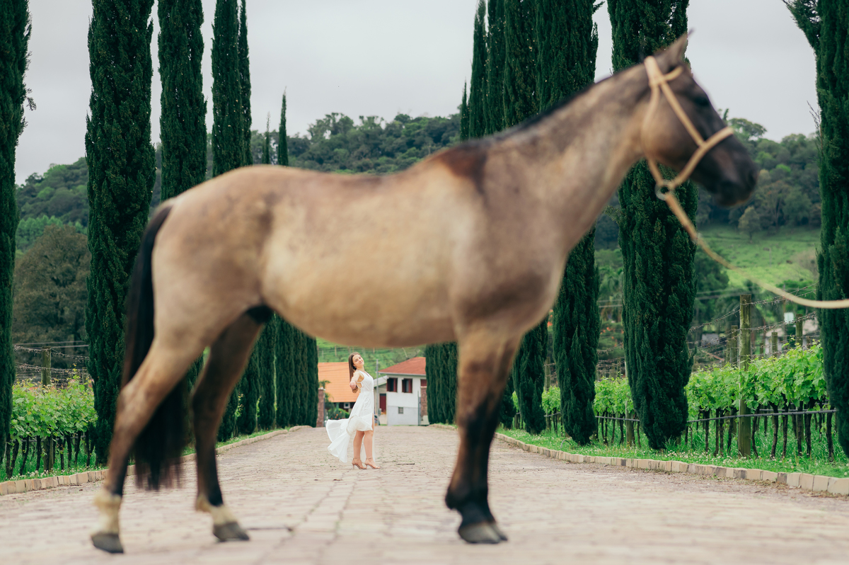 ensaio 15 anos daniela radavelli fotografia fotos de 15 anos fotografa de 15 anos debutante fotos de debutante Vinícola Alma Única Vale dos Vinhedos