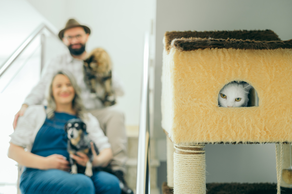 ensaio de gestante ensaio em casa ensaio de gestante ensaio em casa Garibaldi daniela radavelli fotografia look de gestante ensaio família ensaio com doguinho ensaio com gatinho papai motoqueiro