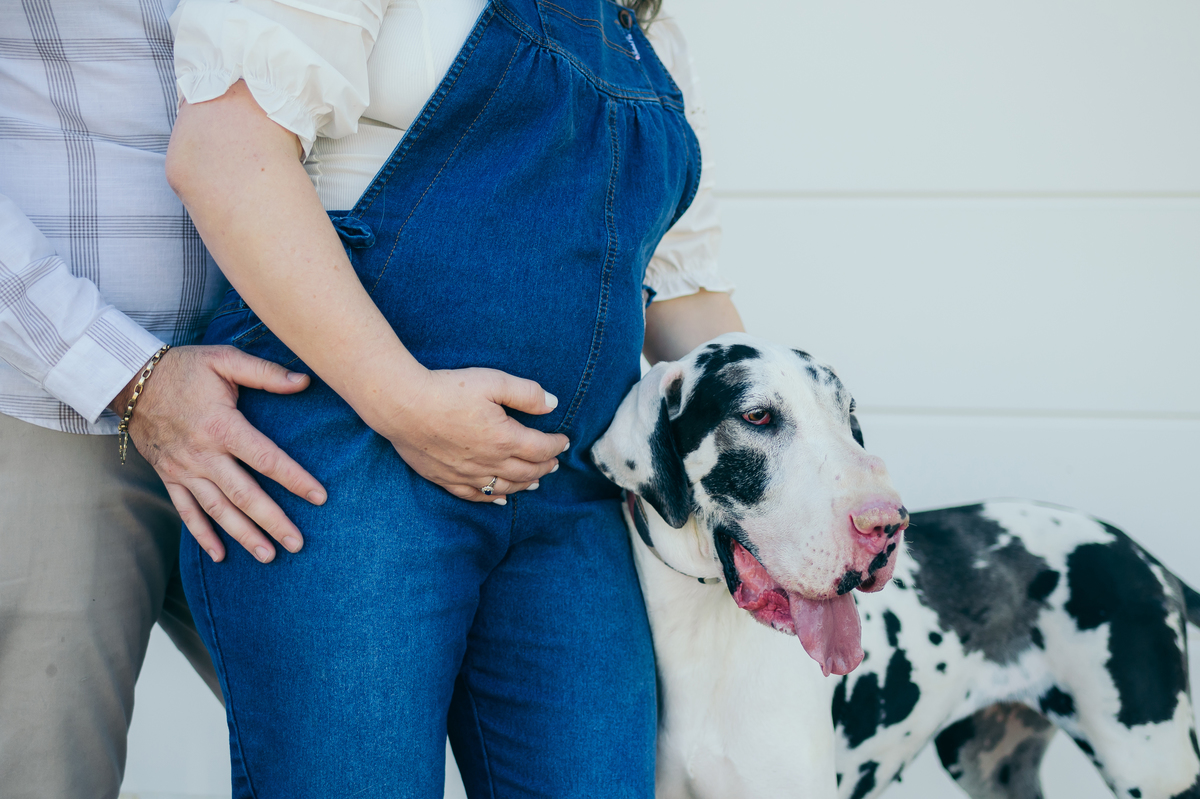 ensaio de gestante ensaio em casa Garibaldi daniela radavelli fotografia look de gestante ensaio família ensaio com doguinho ensaio com gatinho papai motoqueiro