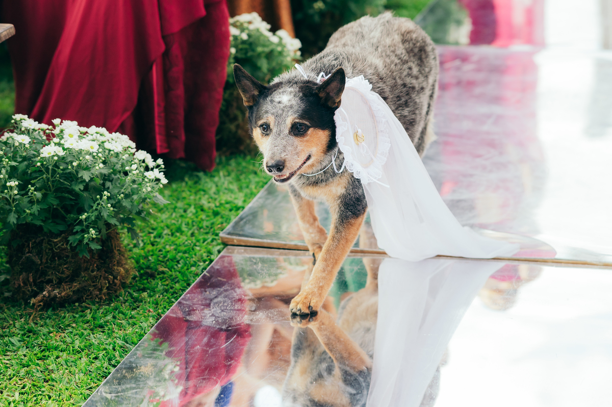 casamento de dia daniela radavelli fotografia make de noiva cabelo de noiva cerimônia externa Casa de Campo Canela 