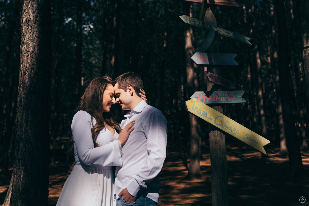 ensaio pre casamento tedesco eco park são francisco de paula pre wedding ensaio de casal  ensaio na cabana 