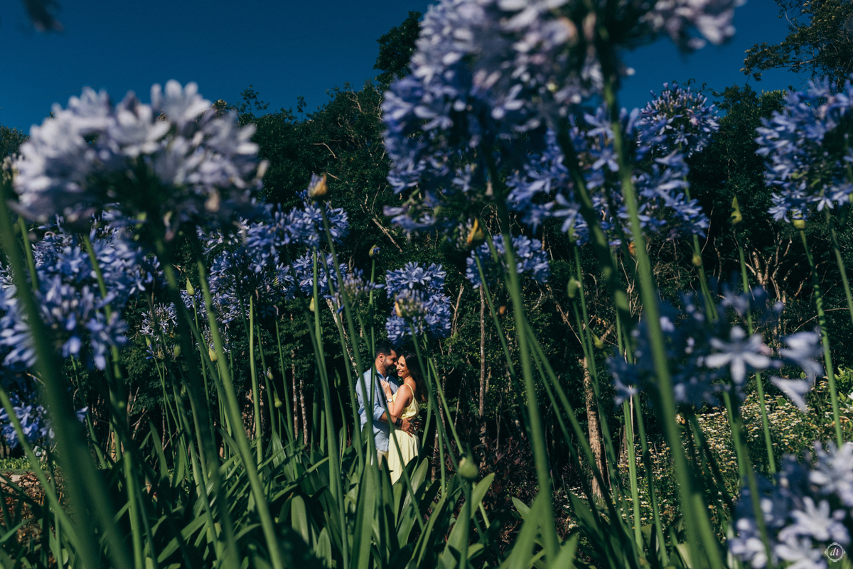 ensaio parque das olivas de gramado ensaio de casal daniela radavelli fotografia pre casamento pre wedding