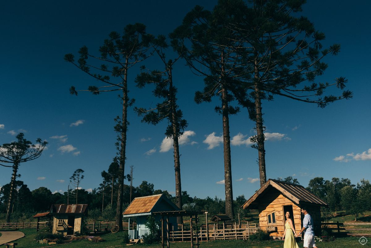 ensaio parque das olivas de gramado ensaio de casal daniela radavelli fotografia pre casamento pre wedding