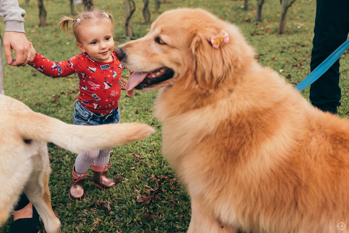 ensaio gestante gravidinha mamãe de menino daniela radavelli fotografia fotografa de gestante villa mattuella 