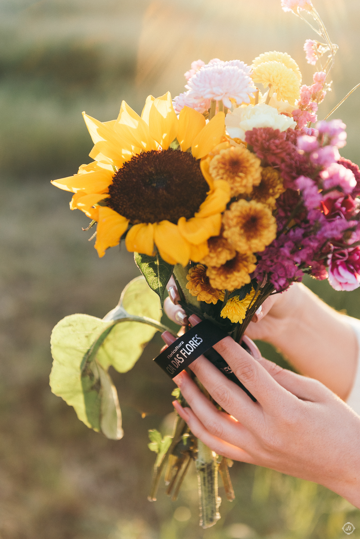 ensaio feminino mulher empoderada daniela radavelli fotografia look drops de menta garibaldi ensaio na serra gaucha fotos de chapeu  ensaio primavera 