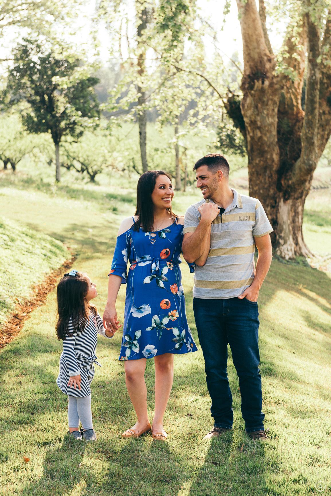 ensaio gestante daniela radavelli fotografia vinicola don giovanni serra gaucha fotografo na serra 
