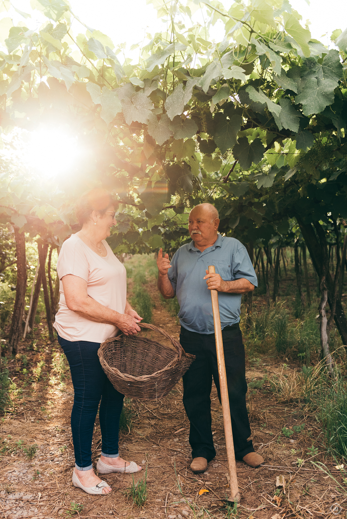 ensaio de família bodas de ouro bodas de casamento daniela radavelli fotografia fotografo garibaldi 