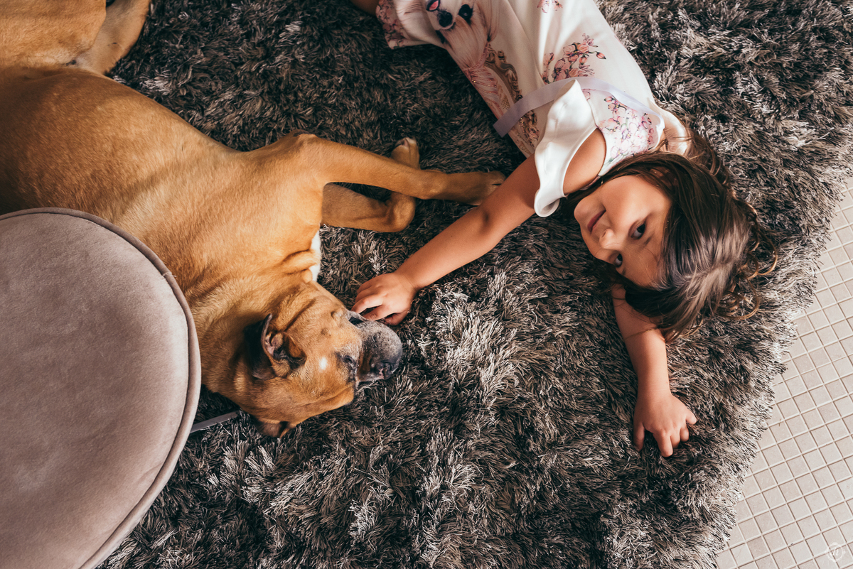 festa de 15 anos em casa daniela radavelli fotografia festa em casa 15th moderno festa na piscina 