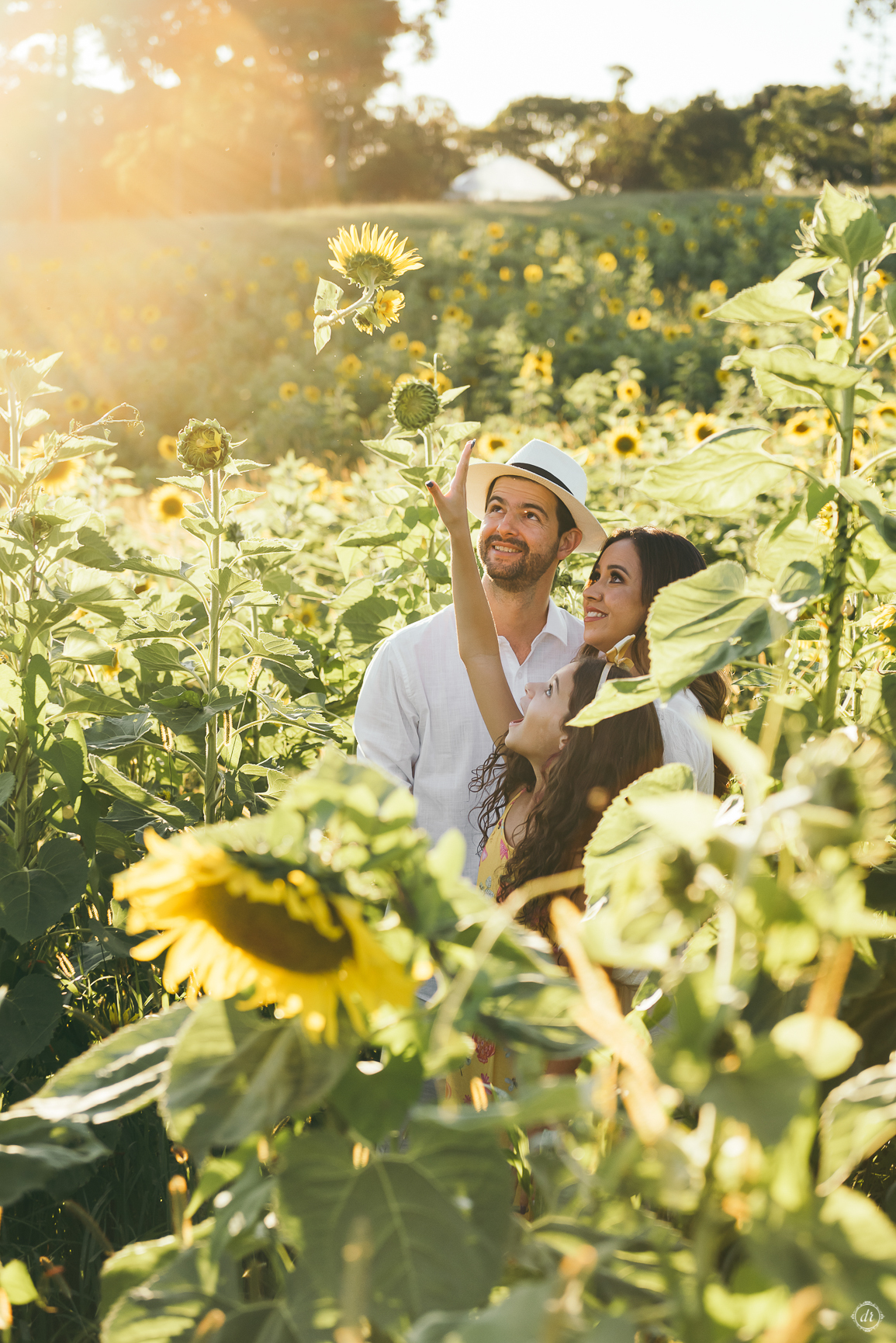 ensaio família ensaio na vinícola do sul vinicola don giovanni ensaio de ferias daniela radavelli fotografia  ensaio com girassol 