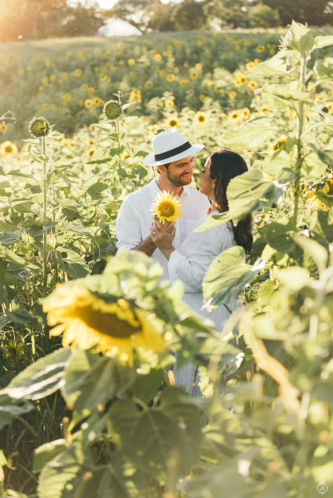 ensaio família ensaio na vinícola do sul vinicola don giovanni ensaio de ferias daniela radavelli fotografia  ensaio com girassol 