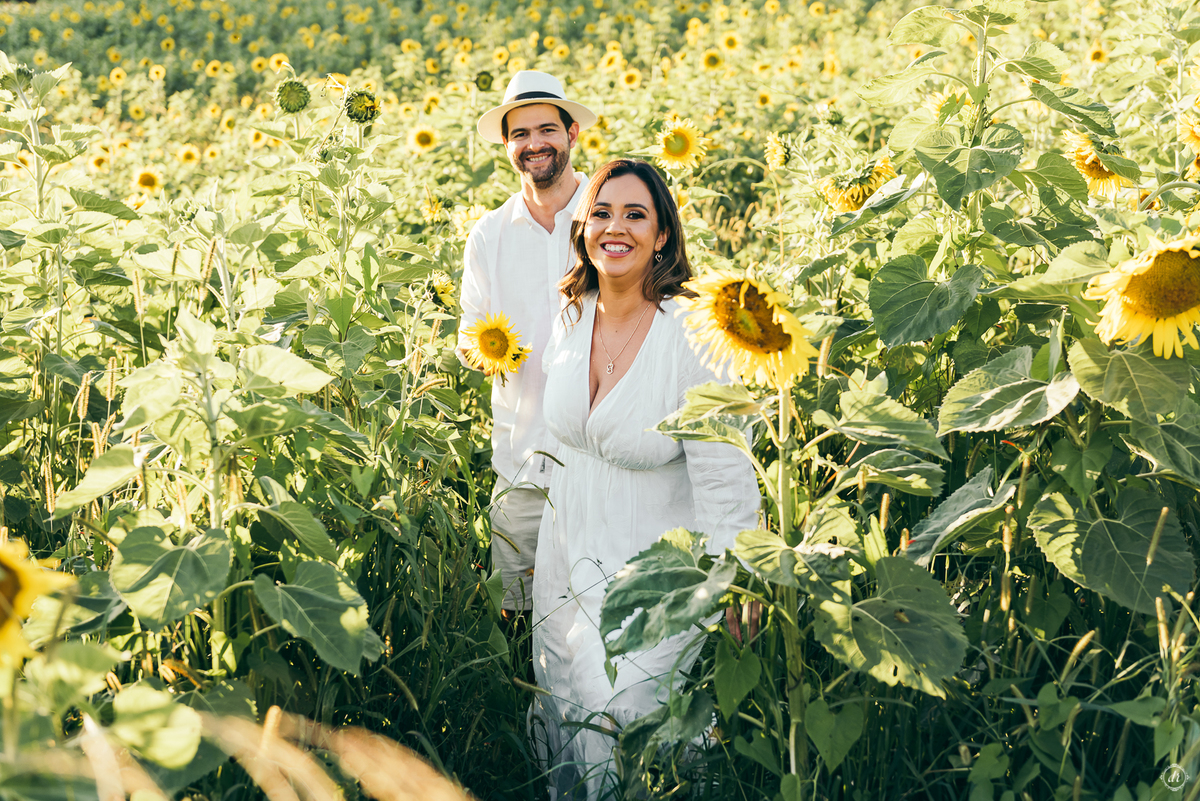 ensaio família ensaio na vinícola do sul vinicola don giovanni ensaio de ferias daniela radavelli fotografia  ensaio com girassol 
