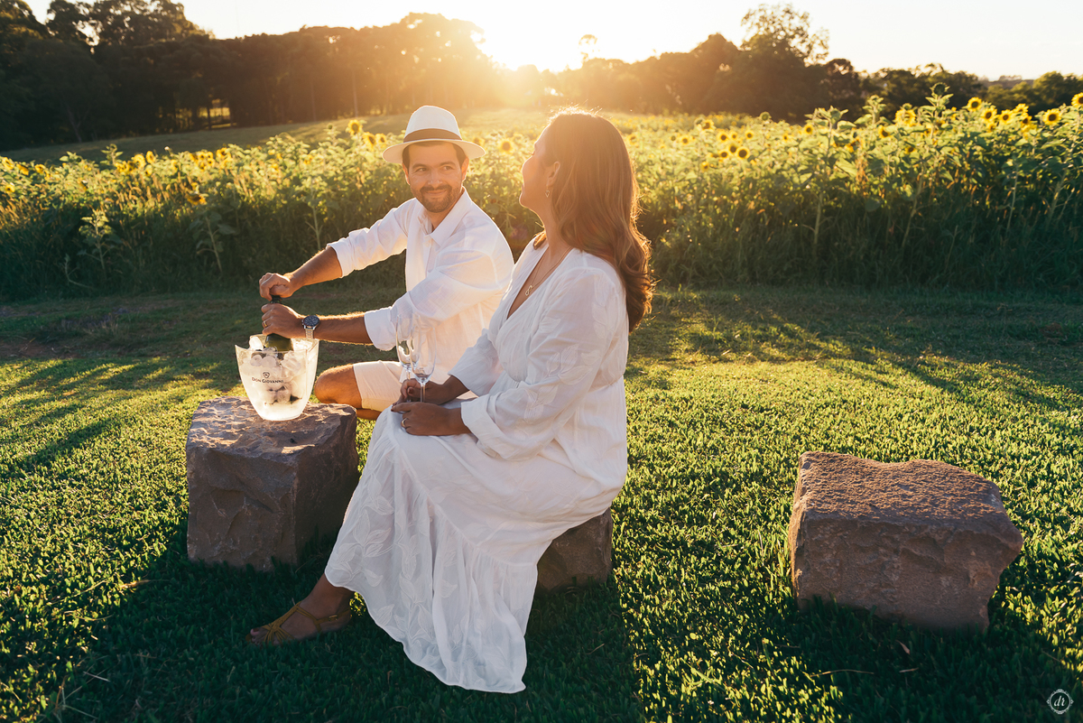 ensaio família ensaio na vinícola do sul vinicola don giovanni ensaio de ferias daniela radavelli fotografia  ensaio com girassol 
