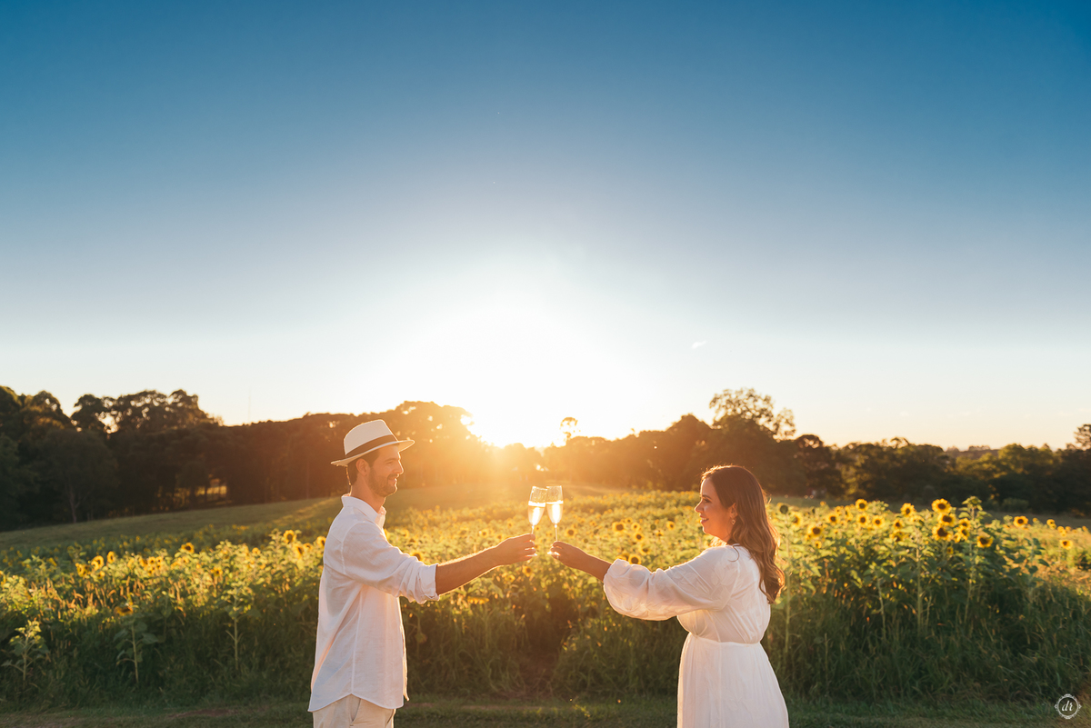 ensaio família ensaio na vinícola do sul vinicola don giovanni ensaio de ferias daniela radavelli fotografia  ensaio com girassol 