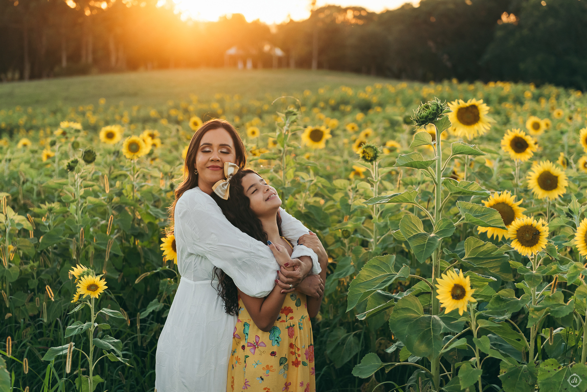 ensaio família ensaio na vinícola do sul vinicola don giovanni ensaio de ferias daniela radavelli fotografia ensaio com girassol 