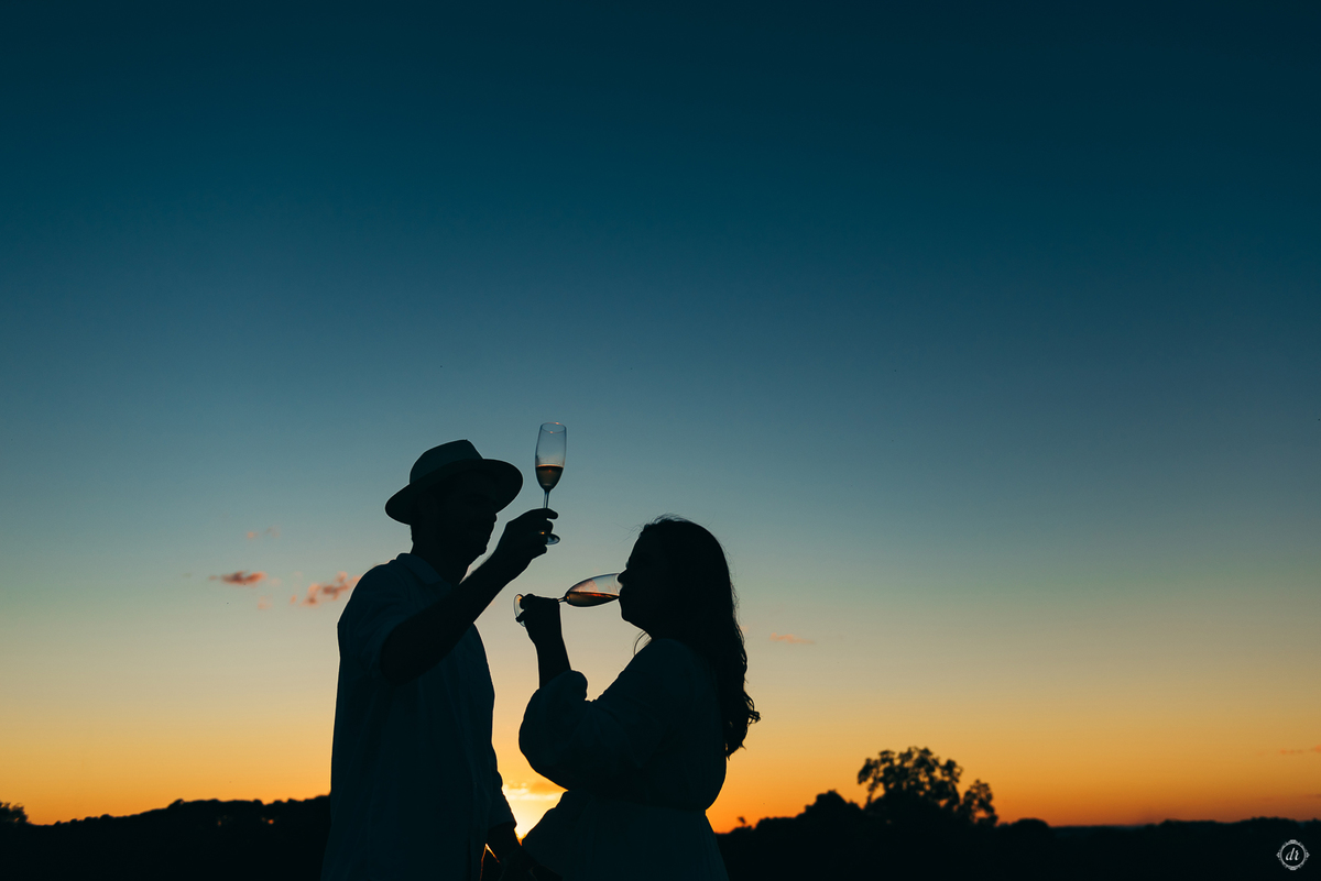 ensaio família ensaio na vinícola do sul vinicola don giovanni ensaio de ferias daniela radavelli fotografia  ensaio com girassol 