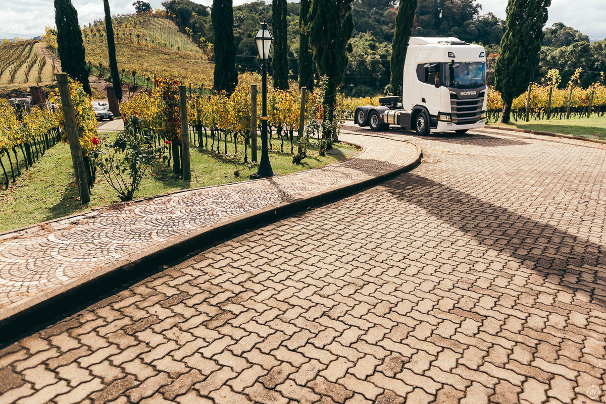 casamento no spa do vinho casamento no vale dos vinhedos fotografa de casamento na serra gaúcha outono no sul scania brasil noivo de caminhão mini wedding no sul elopement no vale dos vinhedos noivas do brasil casamento da pandemia daniela radavelli
