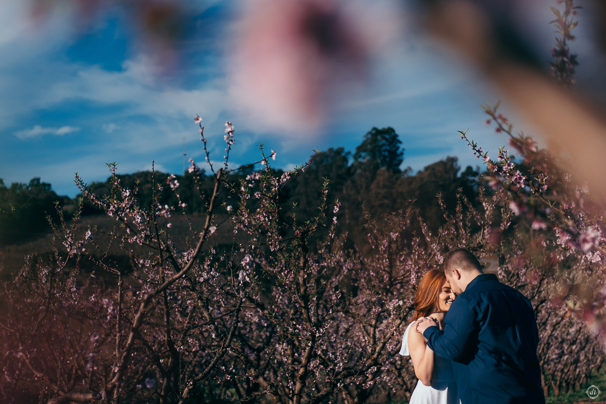ensaio pre casamento daniela radavelli fotografia adega dom camilo pre wedding no brasil noiva ruiva