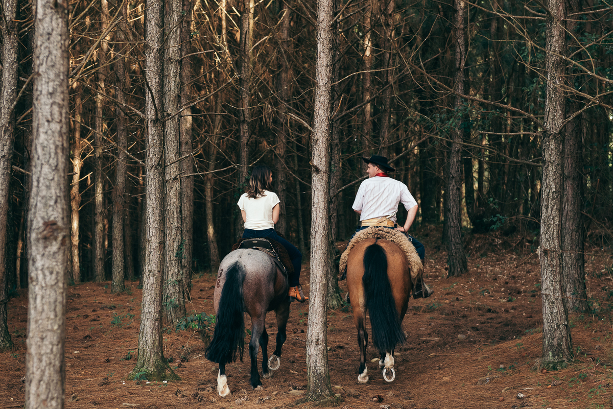 ensaio a cavalo amor por cavalado pre wedding daniela radadavelli fotografia ensaio pre casamento ensaio no haras 