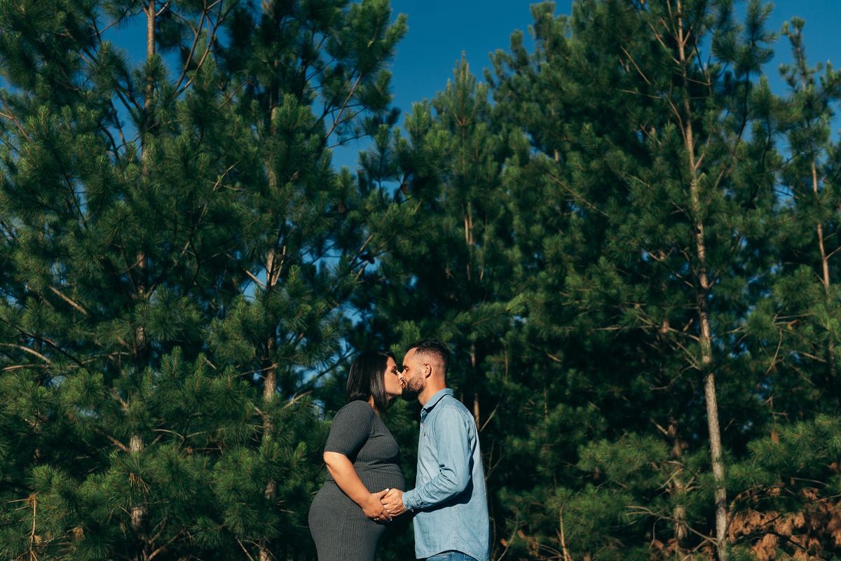 ensaio de gestante daniela radavelli fotografia fotografa de gestante ensaio externo de gestante 