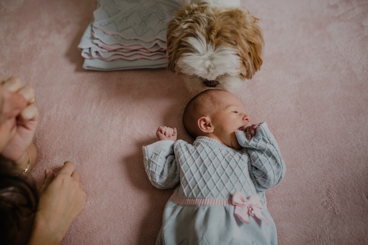 fotografia rj, fotografo de acompanhamento de bebe, lifestyle, de familia, newborn rio de janeiro