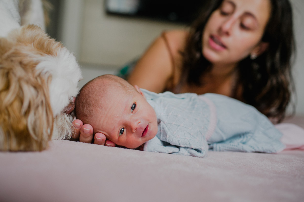 fotografia de familia, fotografo de natural newborn, lifestyle, acompanhamento de bebe