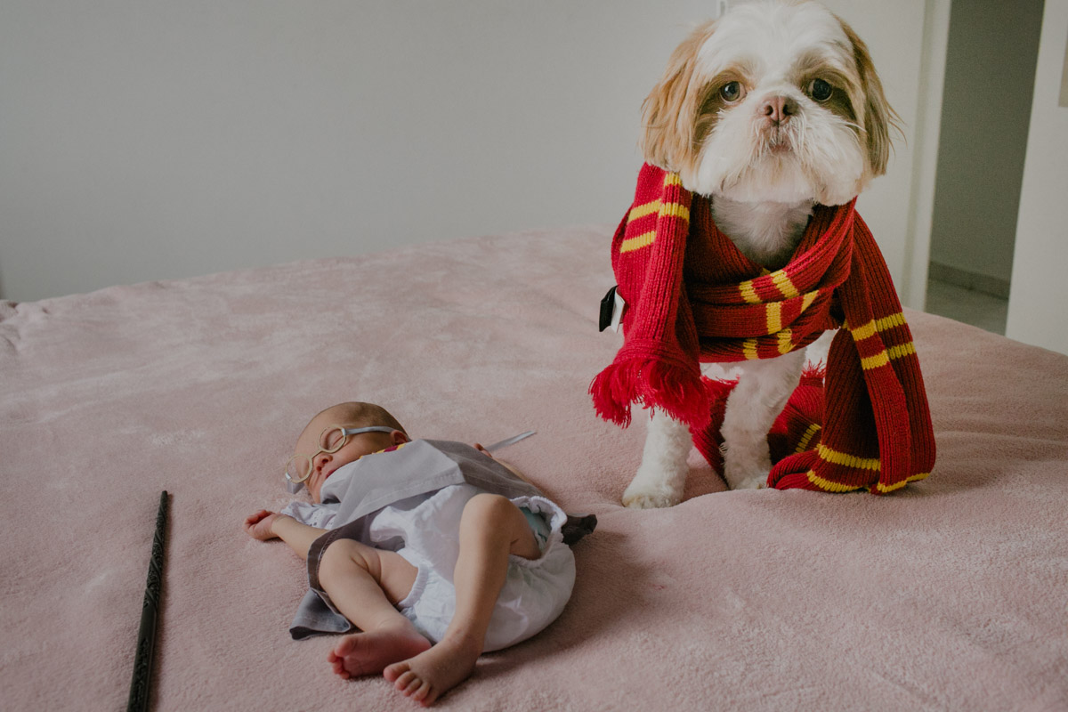 fotografo são paulo sp, fotografia de familia, newborn, acompanhamento de bebe, lifestyle