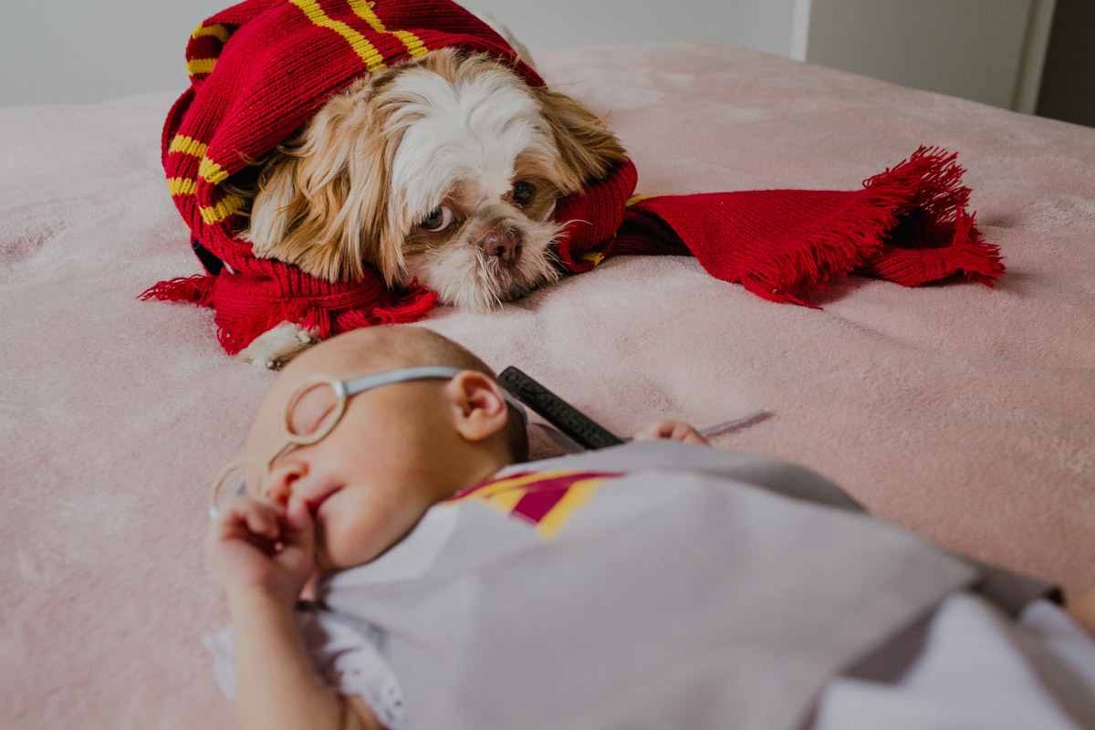 acompanhamento de bebe, fotografia de familia, natural newborn, lifestyle, ensaio de familia rj