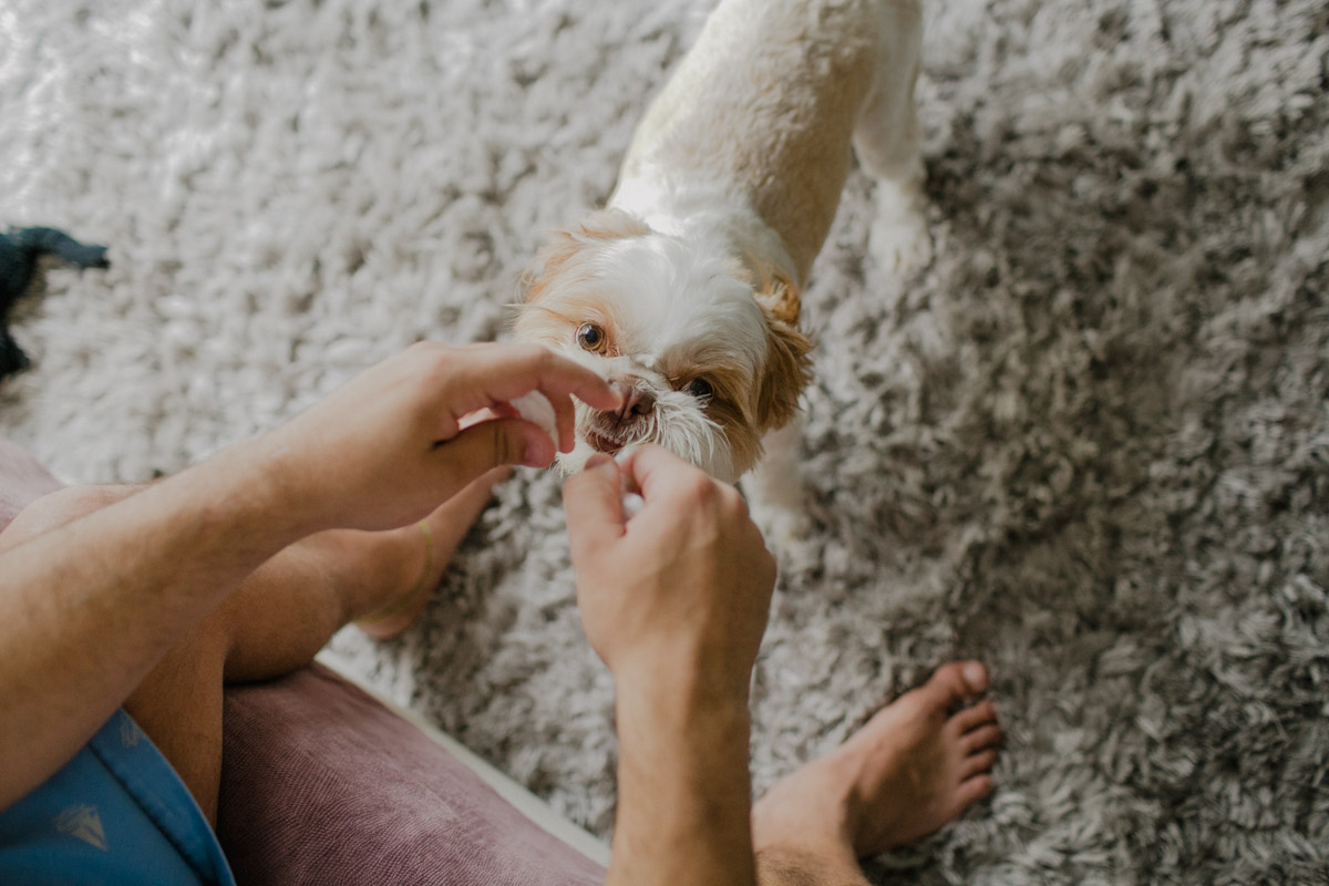 fotografia rj, fotografo de acompanhamento de bebe, lifestyle, de familia, newborn rio de janeiro
