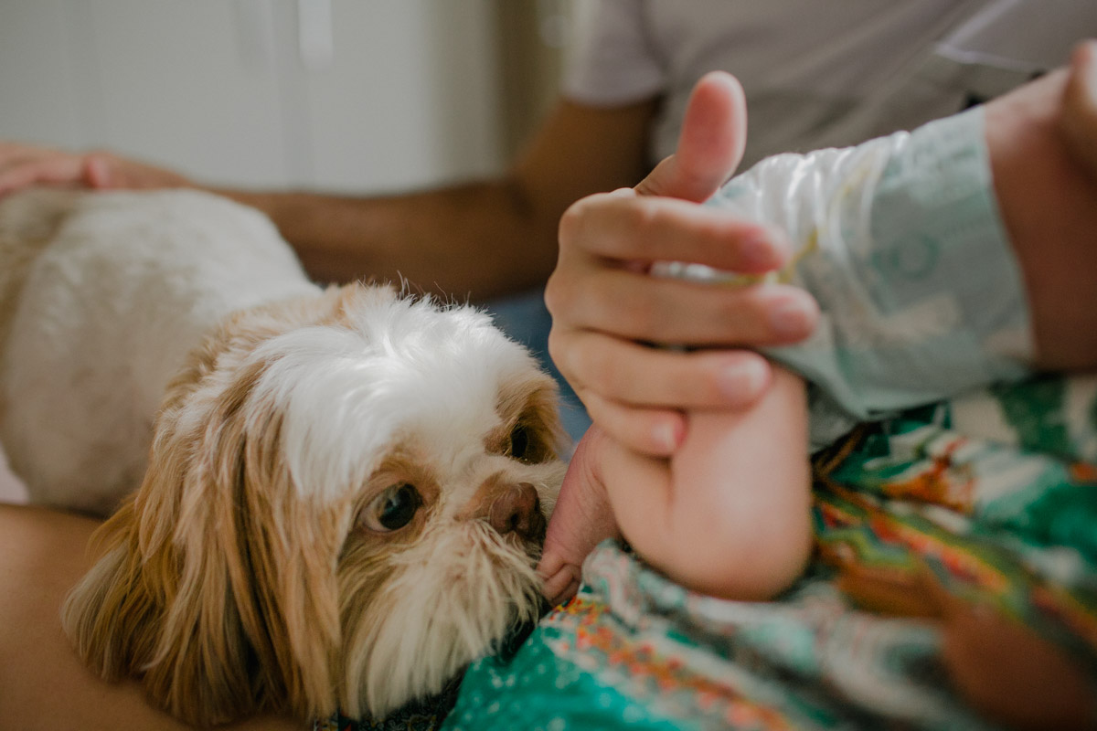 fotografia de newborn, de familia, acompanhamento de bebe rio de janeiro rj lifestyle