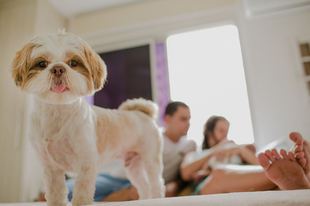 fotografia de familia, fotografo de natural newborn, lifestyle, acompanhamento de bebe