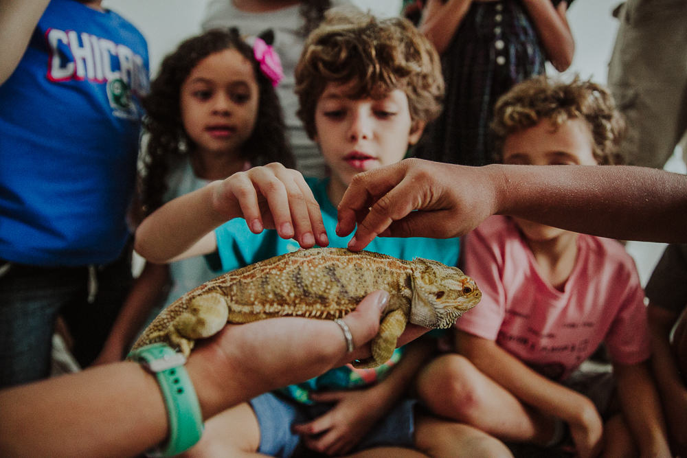 fotografia de festa infantil rio de janeiro, festa infantil em botafogo rj, ensaio de familia rj, festa festa de menino, decoracao ecologia, decoracao de festa infantil, decoracao de festas arara canindé, diversao inclusiva, clack boom animacao