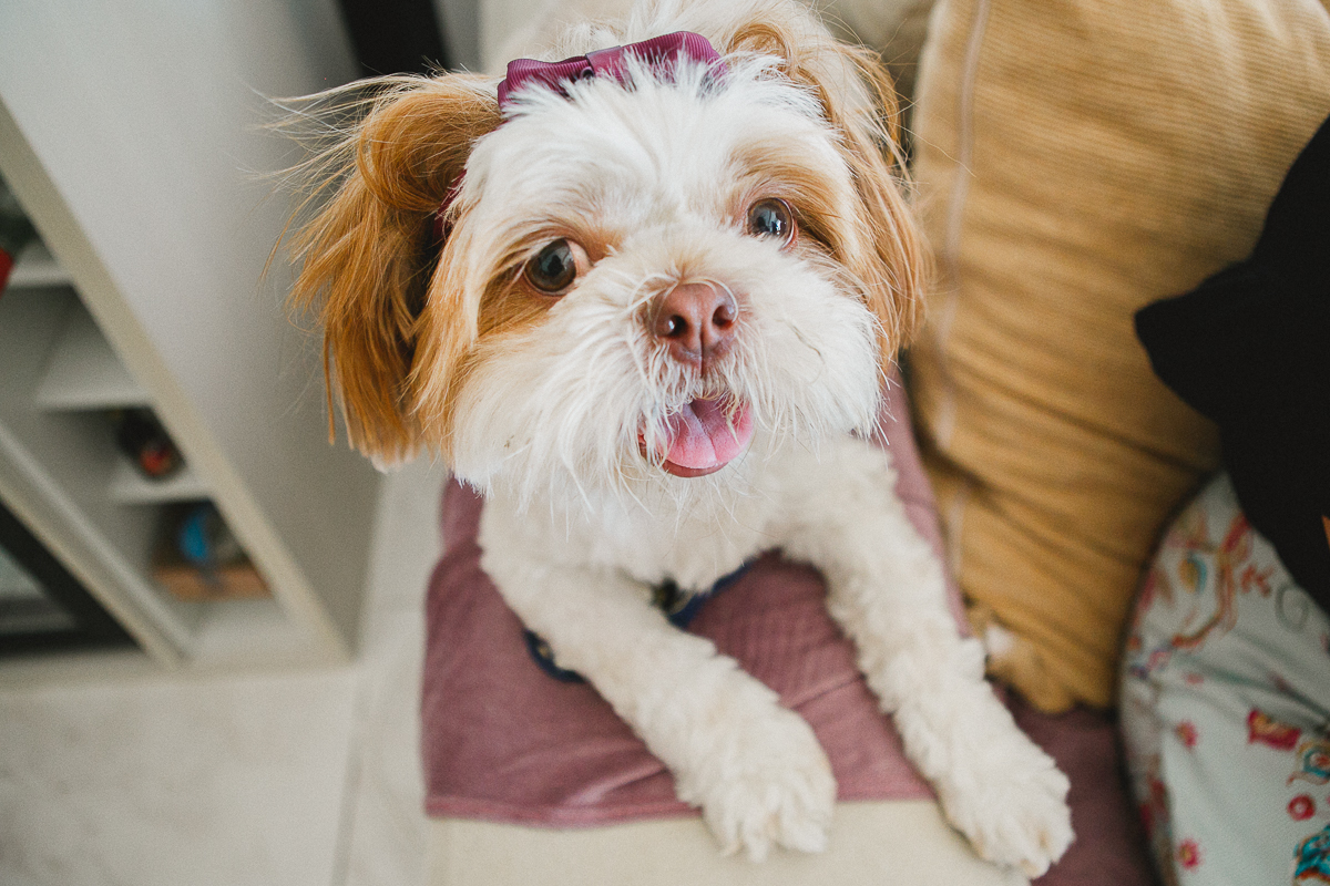 acompanhamento de bebe, natural newborn, fotografia de familia rj, fotografo de familia rj, fotografia de familia, fotografia afetiva aline lelles rodrigo wittitz