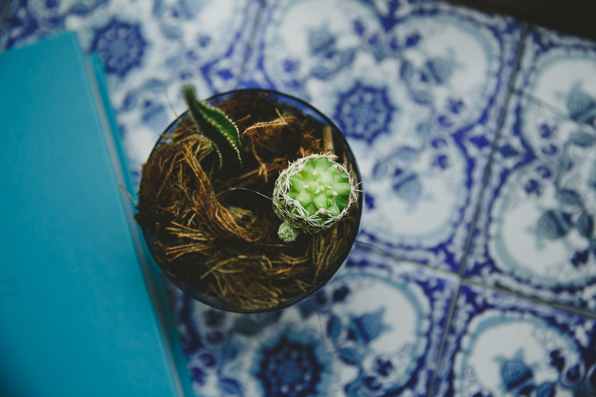 up encadernadora, fotografia de imprima seu album de casamento, casamento, album de casamento, smart album, diagramação de album, aline lelles