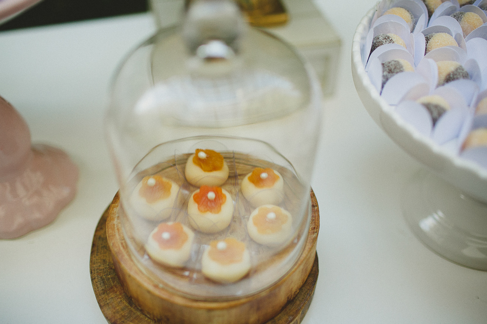 fotografo de familia rj, fotografia de familia rio de janeiro rj, fotografo de festa infantil rj, fotografo de festa infantil rio de janeiro rj, fotografia afetiva, aline lelles e rodrigo wittitz