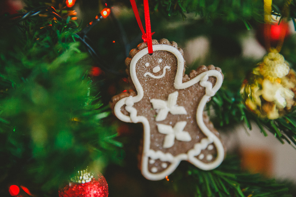 fotografia de familia rio de janeiro rj, fotografo de familia rj, sessão fotográfica de natal, ensaio de familia rj, ensaio de natal rj, fotografia afetiva aline lelles e rodrigo wittitz