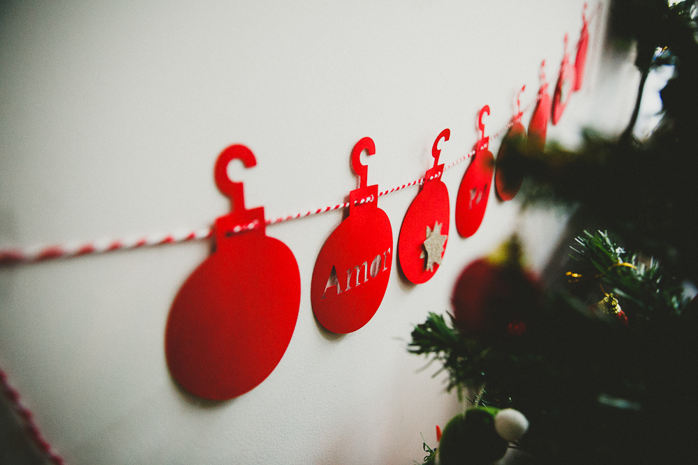 aline lelles e rodrigo wittitz fotografia afetiva, ensaio de natal rj, sessão fotográfica de natal, fotografo de familia rj, fotografia de familia rio de janeiro rj, ensaio fotográfico de natal rio de janeiro rj, ensaio de familia rj