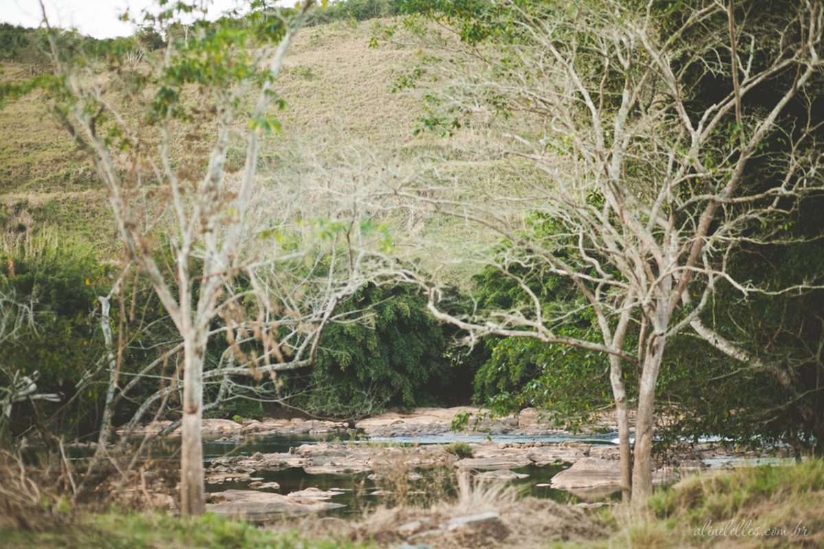 Fotografia Afetiva , Fotografia de Casamento , Making Off Noiva , Making Off Noivo , Festa de Casamento , Fotos Noiva , Fotos Noivo , Bouquet , Decoração de Casamento , Aline Lelles e Rodrigo Wittitz