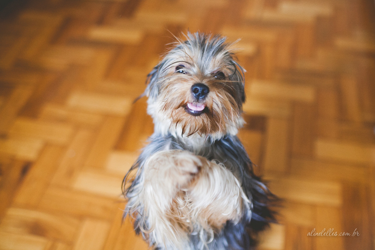 Livros, chás e histórias de amor | Ensaio de Casal Rio de Janeiro | Winnee e Ângelo