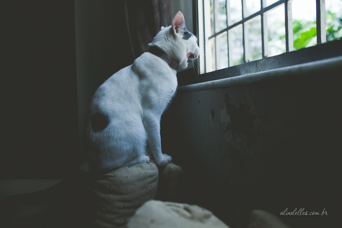 Mais famílias em 2014! | Fotografia de Família Rio de Janeiro