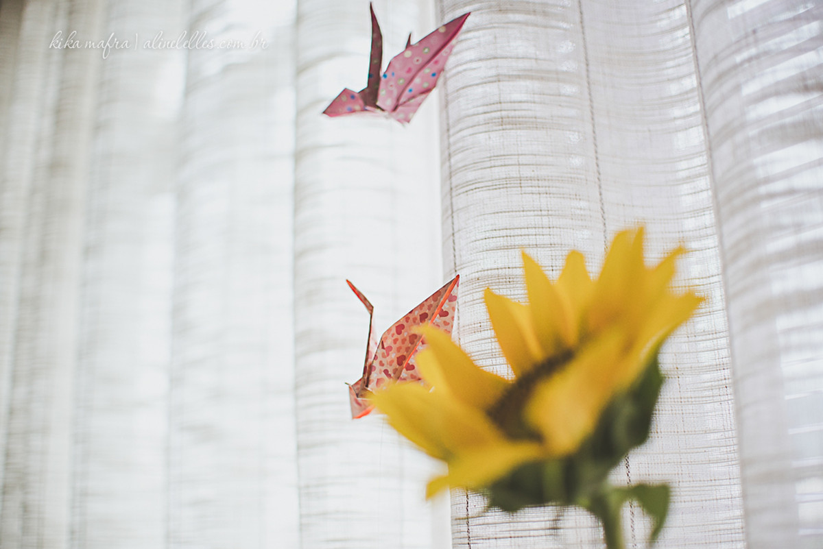 aconchego, aline lelles, amor e foto, atelier de fotografia aline lelles, aula de fotografia, bate papo de fotografia, blog eu amo ser fotografo, cafe com amor, carinhas personalizadas, como fazer uma boa foto, como melhorar a minha fotografia, como melho