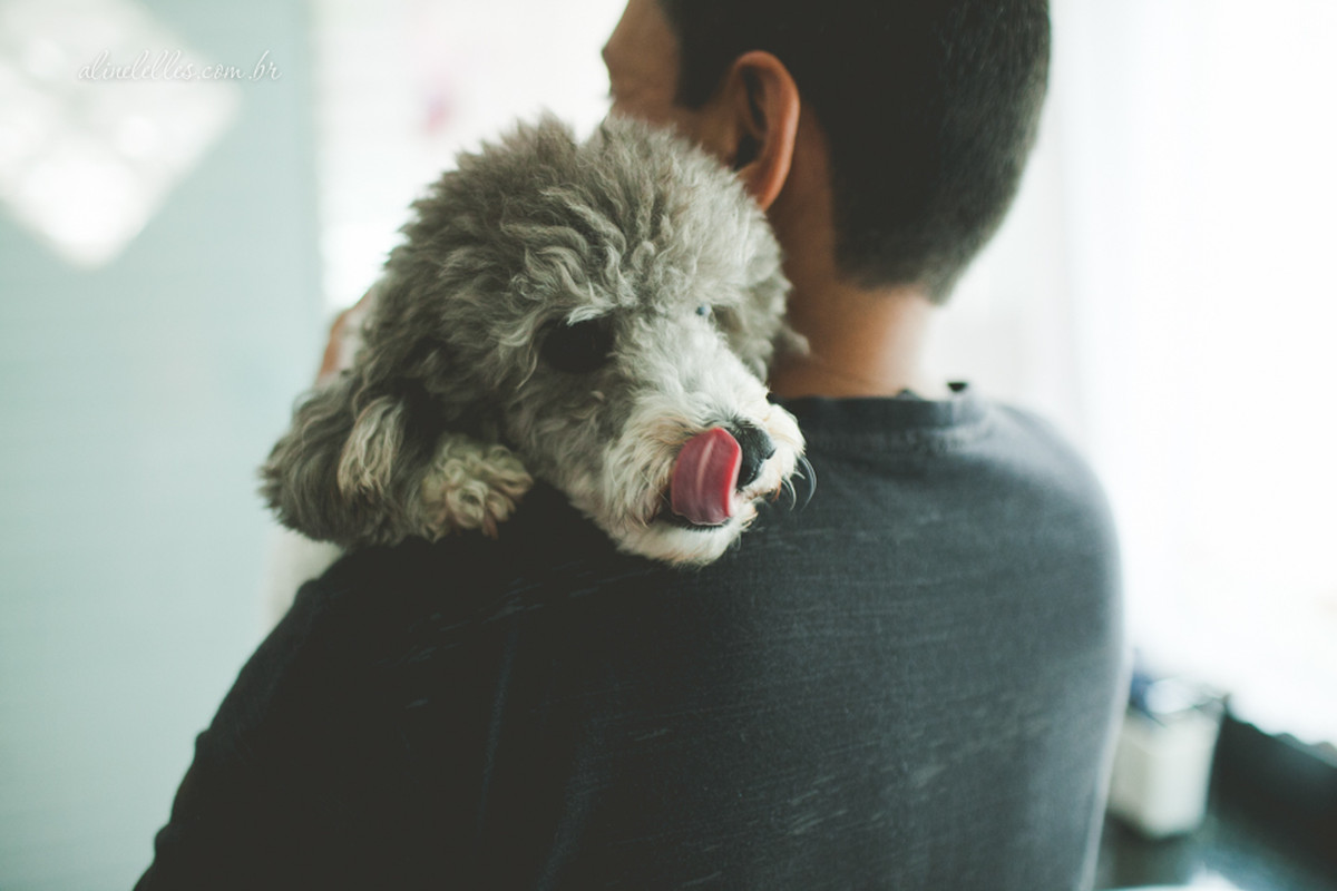 aline lelles, brasil, brasilia, brazil, capital do brasil, carla e sergio, catedral de brasilia, congresso nacional, e session, e-session, engagement session, ensaio, ensaio de casal, ensaio de familia, ensaio em externa, ensaio fotografico, itamaray, pho